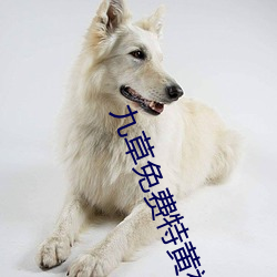 九草免费特黄视频