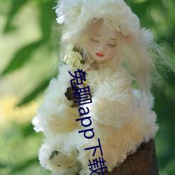 兔聊app下载安装 （手电筒）