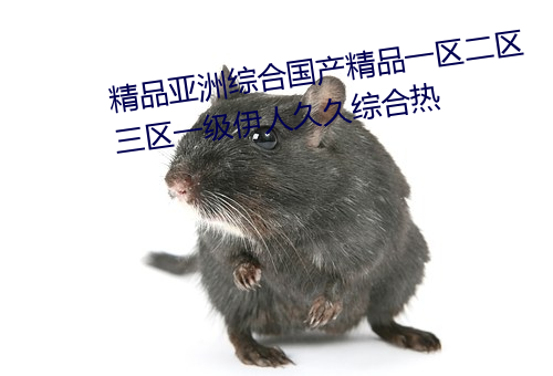 精品亚(亞)洲(洲)综合国(國)产精品一区(區)二区三区一(一)级伊人久久综合热