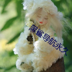 黑鲨(鲨)导航永久