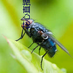 花(花)心直播(播)软件
