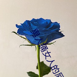 米乐M6·(中国)官方网站