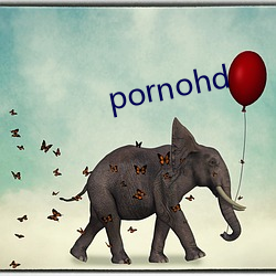 pornohd （飞鹰走马）