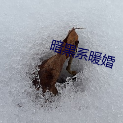 暗黑系暖婚