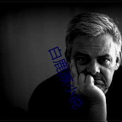 白鹿原小说