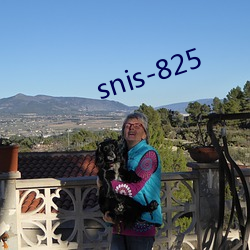 snis-825