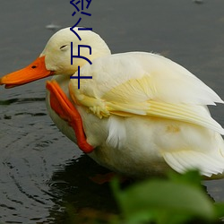十(十)万个冷笑(笑)话电影