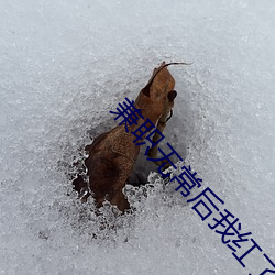 兼职(職)无常(常)后(後)我红了