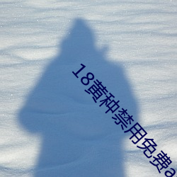 18黃種禁用免費app