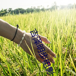 吉澤明步電影