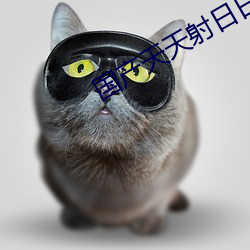 国产天天射日日干