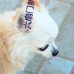 六扇门新春配信 （图腾）