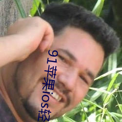 91苹果ios轻量版本