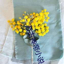 万古神帝小说 （前车可鉴