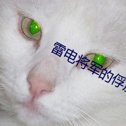 雷电(電)将(將)军的俘虏生活在哪里(裏)看(看)