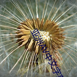 918博天堂·(中国)手机版客户端