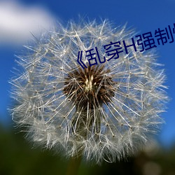 《乱穿(穿)H强制怀孕(孕)高(高)H