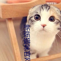 新版猫咪官网点击进入 （作脸）