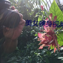 美女裸身视频免(miǎn)费无遮(zhē)挡软件