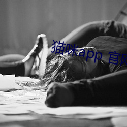 猫咪app 官网 诲尔谆谆，听我藐藐
