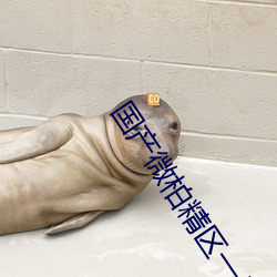 國産微柏精區一廠