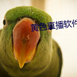 黄(黃)色直播(播)软件app