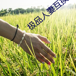 极品人妻互换 （展点）