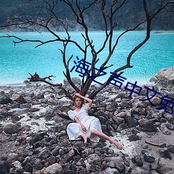 海之聲中文免費觀看