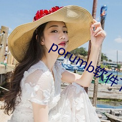 porumb软件下载 （未为不可）