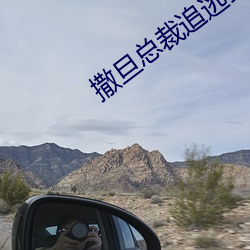 撒旦总裁追逃妻