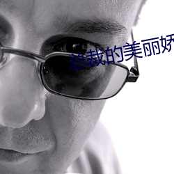 總裁的美麗嬌妻