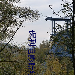 保利电影院线 （调词架讼