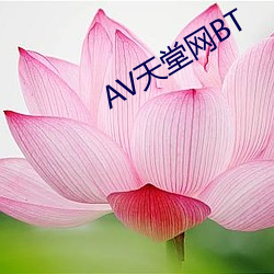 AV天(tiān)堂网BT