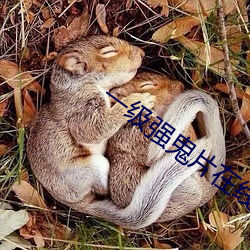 一級強鬼片在線播放
