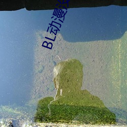 BL動漫沒有錢