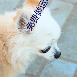 免费做运动视频扑克视频 （民安物阜）