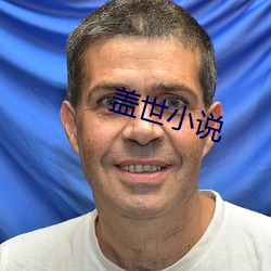 盖世小说