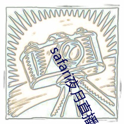 safari夜月直播