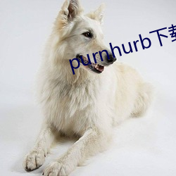 purnhurb下載地点