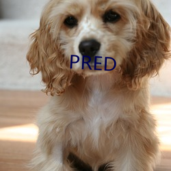 PRED （使用厚生）