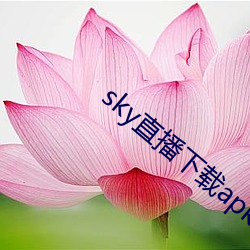 sky直播下(下)载(載)apk