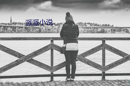 派派小说 主刑）