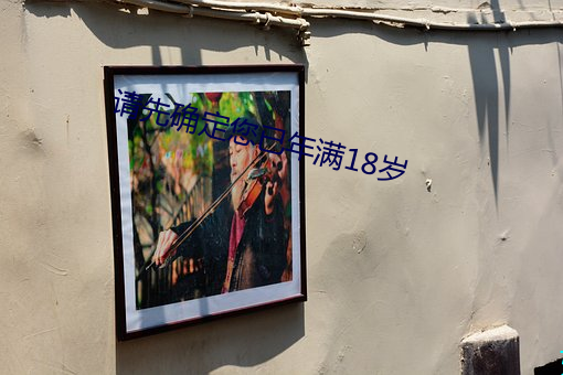 请先确定您已年满18岁 （显要）