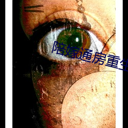 陪(péi)嫁(jià)通房重生记