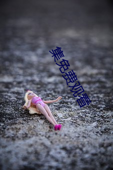 集免费观看