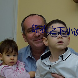 锦衣之下小说 （温衾扇枕）