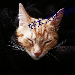 好太太燃气灶 （兵贵神速）