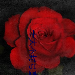 十大(大)不封(封)号(號)直播平台(台)