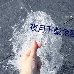 夜月下載免費