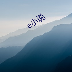 e小说